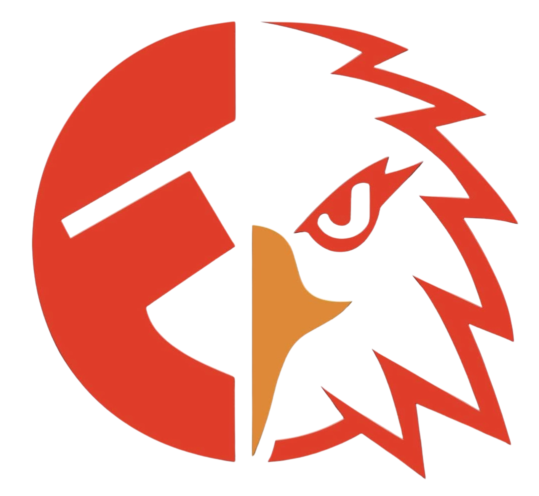 FalconEye Technologies logo – Sri Lanka's trusted tech support and software solutions company, featuring a red and orange falcon eagle head emblem
